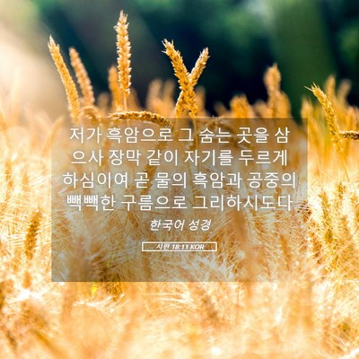 Picture 05 - 시편 18:11 KOR - 저가 흑암으로 그 숨는 곳을 삼으사 - Bible Verse Picture