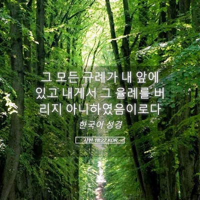 Picture 05 - 시편 18:22 KOR - 그 모든 규례가 내 앞에 있고 내게서 - Bible Verse Picture