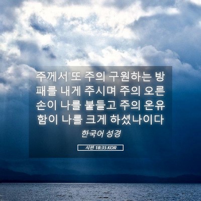 Picture 05 - 시편 18:35 KOR - 주께서 또 주의 구원하는 방패를 - Bible Verse Picture