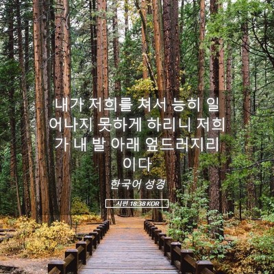 Picture 05 - 시편 18:38 KOR - 내가 저희를 쳐서 능히 일어나지 - Bible Verse Picture
