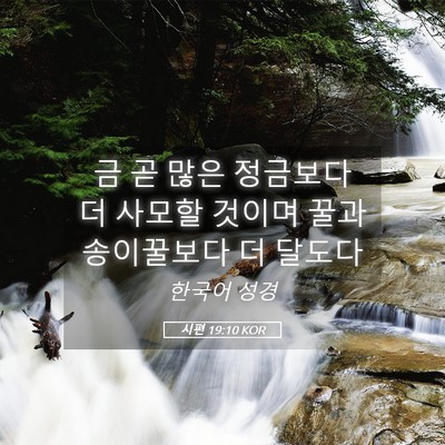 Picture 05 - 시편 19:10 KOR - 금 곧 많은 정금보다 더 사모할 - Bible Verse Picture
