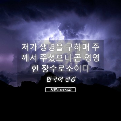 Picture 05 - 시편 21:4 KOR - 저가 생명을 구하매 주께서 주셨으니 - Bible Verse Picture