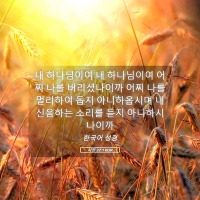 Picture 05 - 시편 22:1 KOR - 내 하나님이여 내 하나님이여 어찌 - Bible Verse Picture