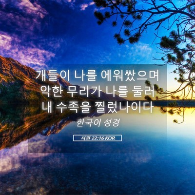 Picture 05 - 시편 22:16 KOR - 개들이 나를 에워쌌으며 악한 무리가 - Bible Verse Picture
