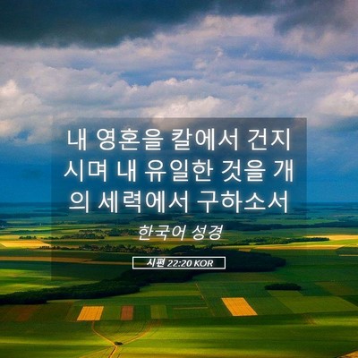 Picture 05 - 시편 22:20 KOR - 내 영혼을 칼에서 건지시며 내 - Bible Verse Picture