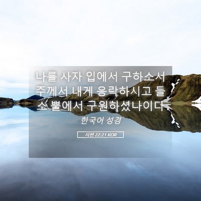 Picture 05 - 시편 22:21 KOR - 나를 사자 입에서 구하소서 주께서 - Bible Verse Picture