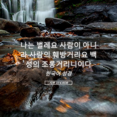 Picture 05 - 시편 22:6 KOR - 나는 벌레요 사람이 아니라 사람의 - Bible Verse Picture