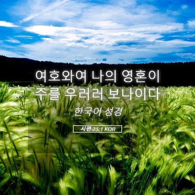 Picture 05 - 시편 25:1 KOR - 여호와여 나의 영혼이 주를 우러러 - Bible Verse Picture