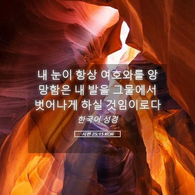 Picture 05 - 시편 25:15 KOR - 내 눈이 항상 여호와를 앙망함은 내 - Bible Verse Picture