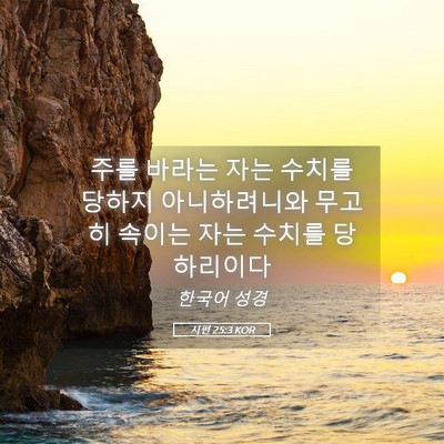 Picture 05 - 시편 25:3 KOR - 주를 바라는 자는 수치를 당하지 - Bible Verse Picture