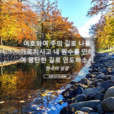 Picture 05 - 시편 27:11 KOR - 여호와여 주의 길로 나를 가르치시고 - Bible Verse Picture
