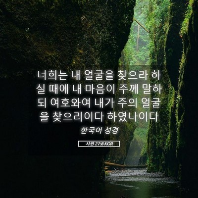 Picture 05 - 시편 27:8 KOR - 너희는 내 얼굴을 찾으라 하실 때에 - Bible Verse Picture