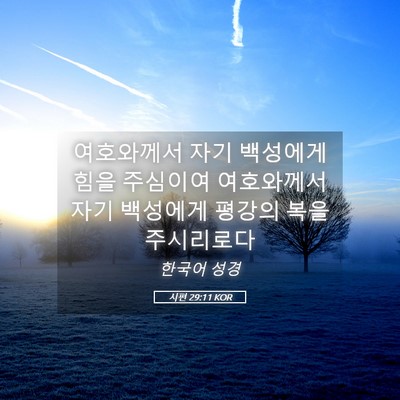 Picture 05 - 시편 29:11 KOR - 여호와께서 자기 백성에게 힘을 - Bible Verse Picture