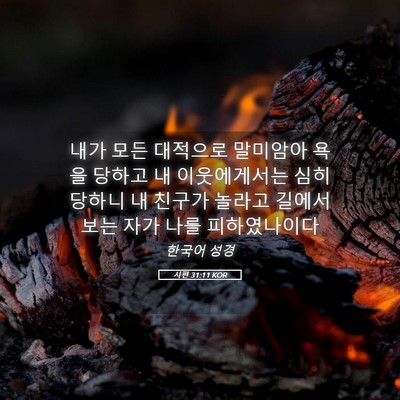 Picture 05 - 시편 31:11 KOR - 내가 모든 대적으로 말미암아 욕을 - Bible Verse Picture