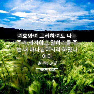 Picture 05 - 시편 31:14 KOR - 여호와여 그러하여도 나는 주께 - Bible Verse Picture