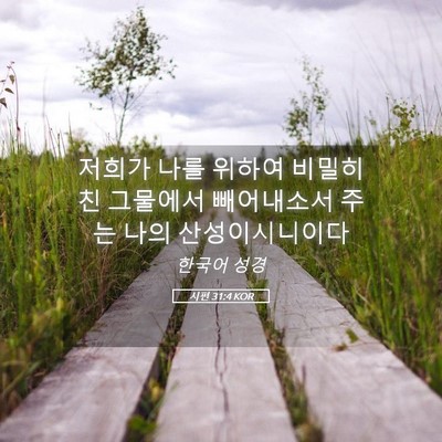 Picture 05 - 시편 31:4 KOR - 저희가 나를 위하여 비밀히 친 - Bible Verse Picture