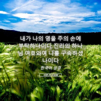 Picture 05 - 시편 31:5 KOR - 내가 나의 영을 주의 손에 - Bible Verse Picture