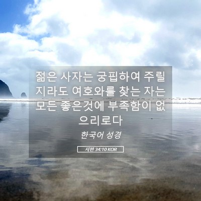 Picture 05 - 시편 34:10 KOR - 젊은 사자는 궁핍하여 주릴지라도 - Bible Verse Picture