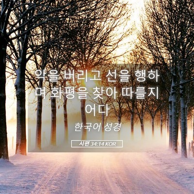 Picture 05 - 시편 34:14 KOR - 악을 버리고 선을 행하며 화평을 - Bible Verse Picture