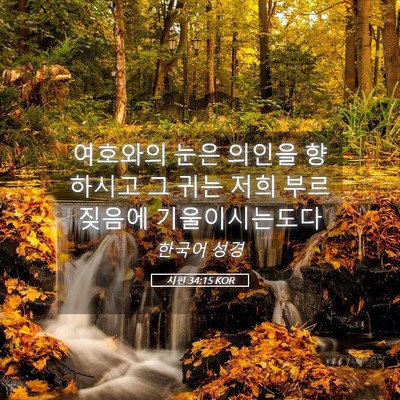 Picture 05 - 시편 34:15 KOR - 여호와의 눈은 의인을 향하시고 그 - Bible Verse Picture