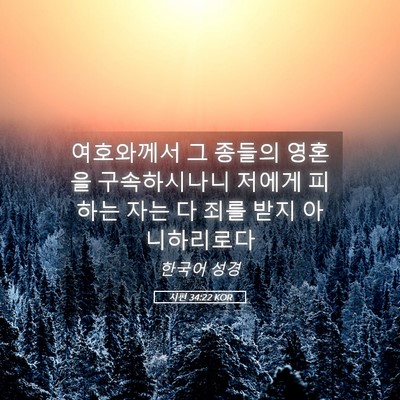 Picture 05 - 시편 34:22 KOR - 여호와께서 그 종들의 영혼을 - Bible Verse Picture