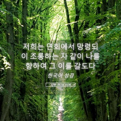 Picture 05 - 시편 35:16 KOR - 저희는 연회에서 망령되이 조롱하는 - Bible Verse Picture