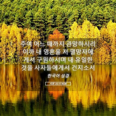Picture 05 - 시편 35:17 KOR - 주여 어느 때까지 관망하시리이까 내 - Bible Verse Picture