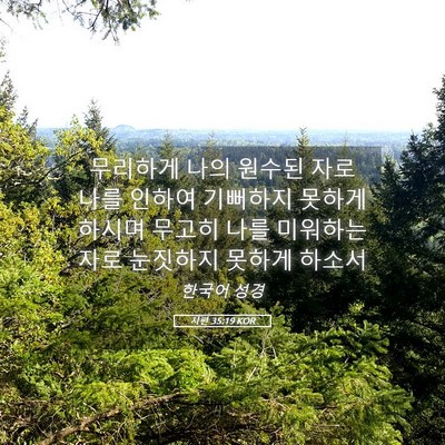 Picture 05 - 시편 35:19 KOR - 무리하게 나의 원수된 자로 나를 - Bible Verse Picture
