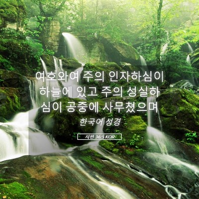 Picture 05 - 시편 36:5 KOR - 여호와여 주의 인자하심이 하늘에 - Bible Verse Picture