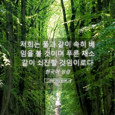 Picture 05 - 시편 37:2 KOR - 저희는 풀과 같이 속히 베임을 볼 - Bible Verse Picture