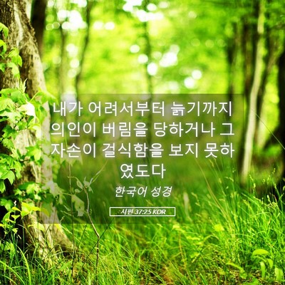 Picture 05 - 시편 37:25 KOR - 내가 어려서부터 늙기까지 의인이 - Bible Verse Picture