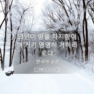Picture 05 - 시편 37:29 KOR - 의인이 땅을 차지함이여 거기 영영히 - Bible Verse Picture