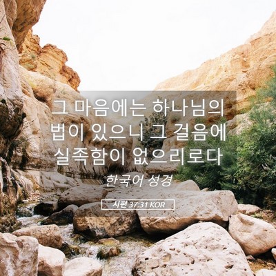 Picture 05 - 시편 37:31 KOR - 그 마음에는 하나님의 법이 있으니 - Bible Verse Picture