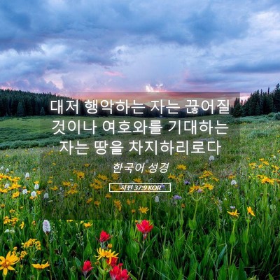 Picture 05 - 시편 37:9 KOR - 대저 행악하는 자는 끊어질 것이나 - Bible Verse Picture