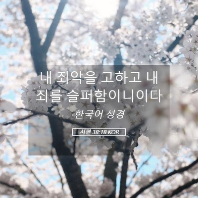 Picture 05 - 시편 38:18 KOR - 내 죄악을 고하고 내 죄를 - Bible Verse Picture