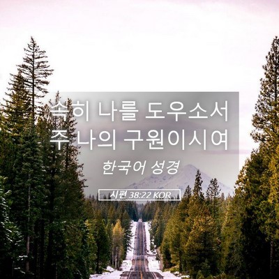 Picture 05 - 시편 38:22 KOR - 속히 나를 도우소서 주 나의 - Bible Verse Picture