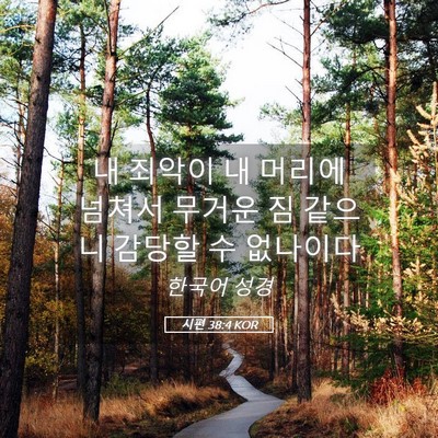 Picture 05 - 시편 38:4 KOR - 내 죄악이 내 머리에 넘쳐서 무거운 - Bible Verse Picture