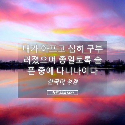 Picture 05 - 시편 38:6 KOR - 내가 아프고 심히 구부러졌으며 - Bible Verse Picture