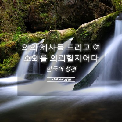Picture 05 - 시편 4:5 KOR - 의의 제사를 드리고 여호와를 - Bible Verse Picture
