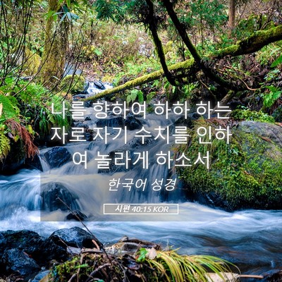 Picture 05 - 시편 40:15 KOR - 나를 향하여 하하 하는 자로 자기 - Bible Verse Picture