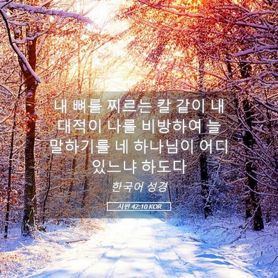 Picture 05 - 시편 42:10 KOR - 내 뼈를 찌르는 칼 같이 내 대적이 - Bible Verse Picture