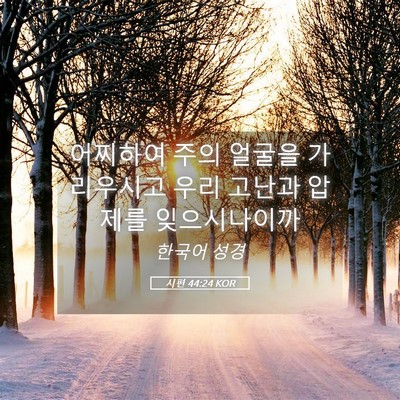 Picture 05 - 시편 44:24 KOR - 어찌하여 주의 얼굴을 가리우시고 - Bible Verse Picture