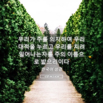 Picture 05 - 시편 44:5 KOR - 우리가 주를 의지하여 우리 대적을 - Bible Verse Picture