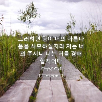 Picture 05 - 시편 45:11 KOR - 그러하면 왕이 너의 아름다움을 - Bible Verse Picture