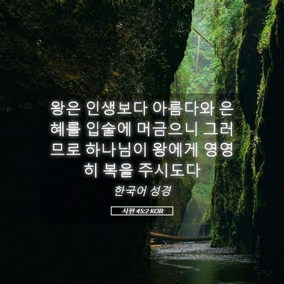 Picture 05 - 시편 45:2 KOR - 왕은 인생보다 아름다와 은혜를 - Bible Verse Picture