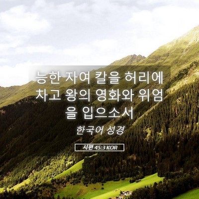 Picture 05 - 시편 45:3 KOR - 능한 자여 칼을 허리에 차고 왕의 - Bible Verse Picture