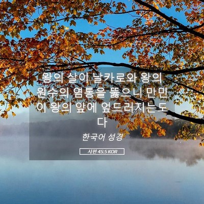 Picture 05 - 시편 45:5 KOR - 왕의 살이 날카로와 왕의 원수의 - Bible Verse Picture