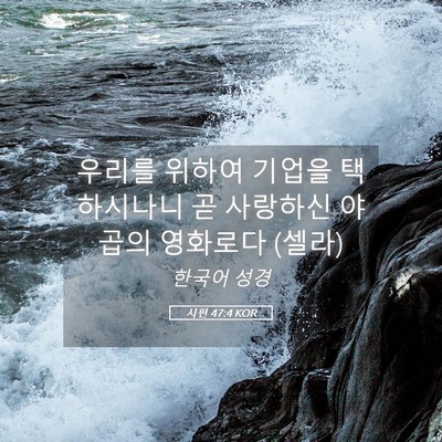 Picture 05 - 시편 47:4 KOR - 우리를 위하여 기업을 택하시나니 곧 - Bible Verse Picture