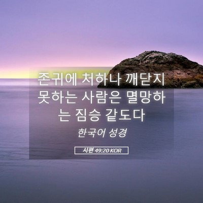 Picture 05 - 시편 49:20 KOR - 존귀에 처하나 깨닫지 못하는 사람은 - Bible Verse Picture