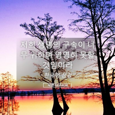 Picture 05 - 시편 49:8 KOR - 저희 생명의 구속이 너무 귀하며 - Bible Verse Picture